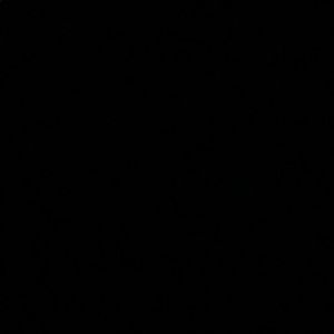 Meet your Posher, Corrine